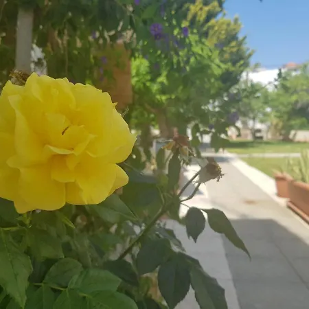 2 Bedroom Ground Floor Apt, 5 Minutes Walk From The * Paralimni